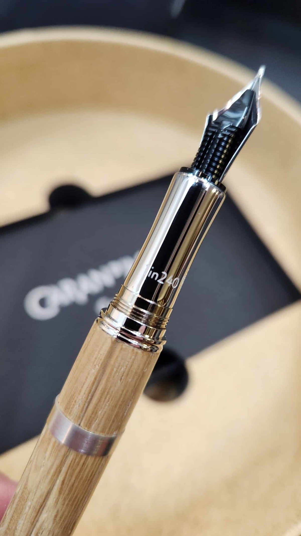 Caran d'Ache Le Viny Fountain Pen 1646.481
