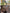 Louis Vuitton Neverfull MM Damier Ebene & Rosa 2016 Shopper Top Zustand