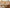 Louis Vuitton Neverfull MM + Pochette Damier Azur 2019 mit Original Rechnung