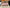 Louis Vuitton Zoé Geldbörse Portemonnaie Monogram & Rose Ballerine wie NEU