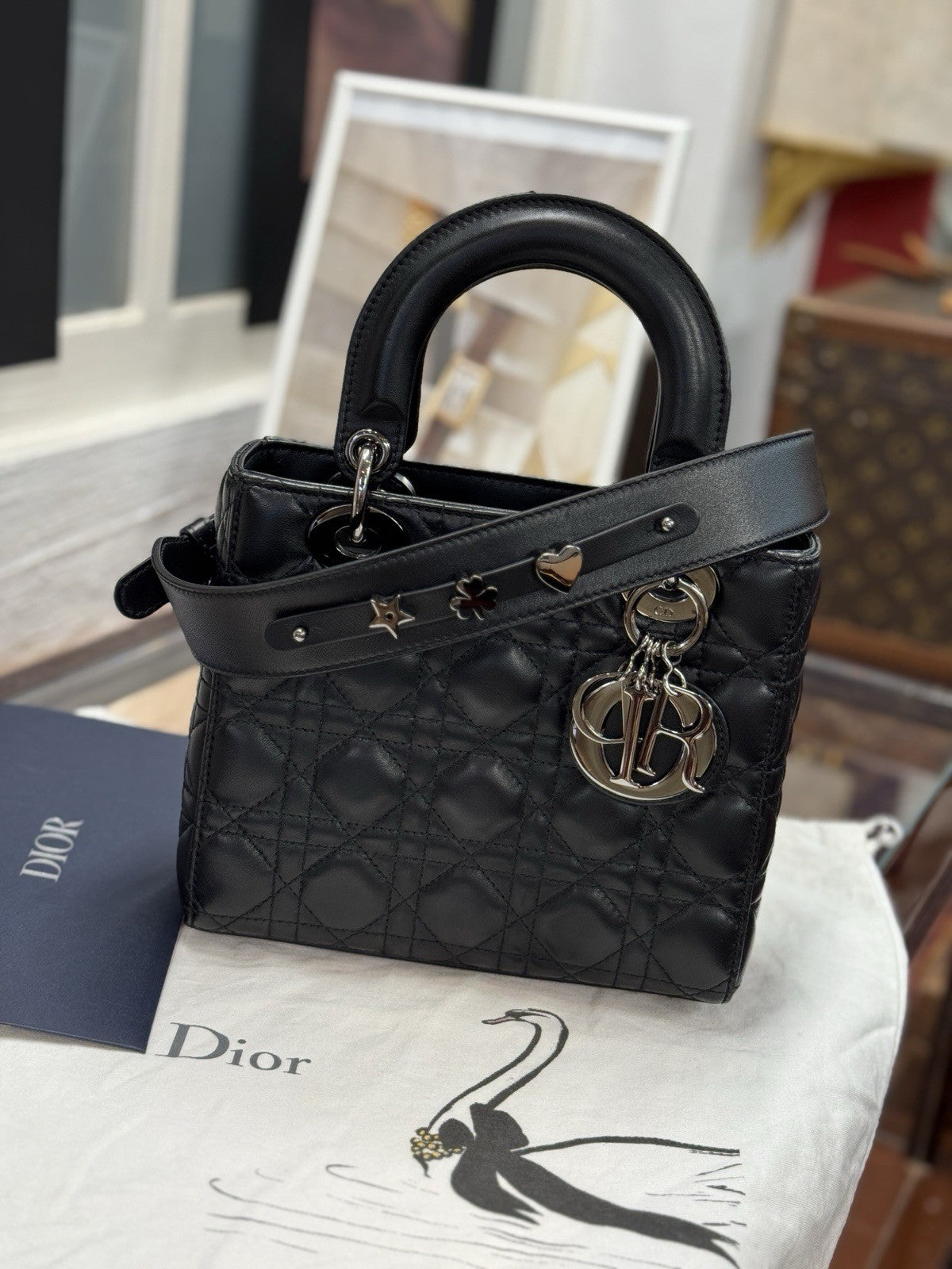 Kleine Lady Dior Small Schwarz Leder & Ruthenium HW All Black Umhängetasche