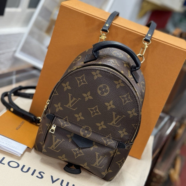Louis Vuitton Palm Springs Mini Rucksack Monogram M44873