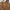 Hermes Birkin Bag 40 Veau Togo Leder Braun/Beige & Gold mit Orig. Rechnung!