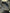 87f98be8-2634-4f4a-bce6-ef285e334e37