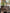 Louis Vuitton Neverfull MM Damier Ebene & Rosa 2016 Shopper Top Zustand