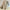 Louis Vuitton Neverfull MM + Pochette Damier Azur 2019 mit Original Rechnung