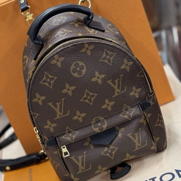 Louis Vuitton Palm Springs Mini Rucksack Monogram M44873