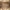 MCM Ella Boston Visetos Speedy Umhängetasche Braun Gold Top Zustand