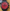 Tutima Grand Classic Black Chronograph PR referenz 781-44