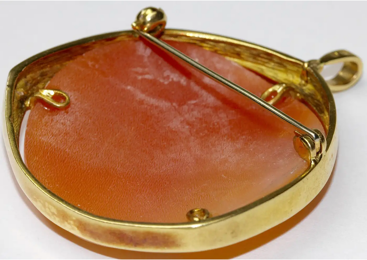 Kamee-Brosche & Anhänger in 18 Karat Gold mit Diamanten