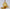 Arnold & Charles Frodsham Halb-Savonette Taschenuhr aus 18K Gold, Chronograph