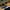 Montegrappa Miya Carbon Orange Fountain Pen ISMYT5FO 