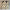 Hermes Anne Bie 40 Shopper Tote Bag Z Toile H Canvas Swift Leder 2021 TOP