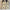 Hermes Anne Bie 40 Shopper Tote Bag Z Toile H Canvas Swift Leder 2021 TOP